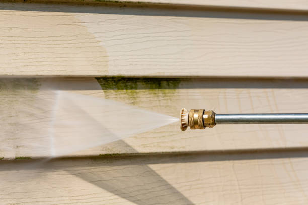 Best Local Pressure Washing Services  in Wortham, TX